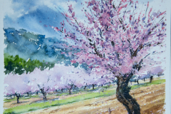 Paisaje-19