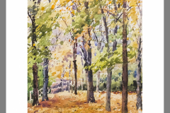 Paisaje-194