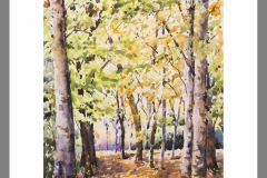 Paisaje-195