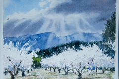 Paisaje-20