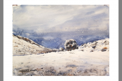 Paisaje-206
