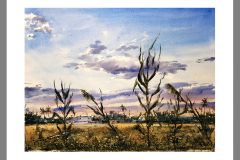 Paisaje-211