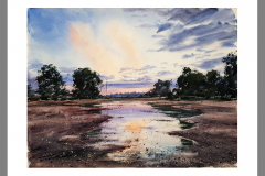 Paisaje-217