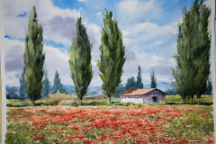 Paisaje-22