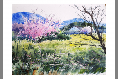 Paisaje-225