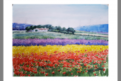 Paisaje-226