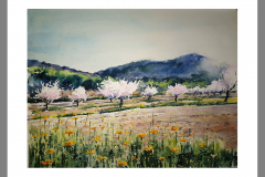 Paisaje-229