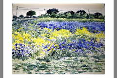 Paisaje-230