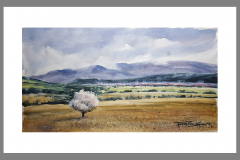 Paisaje-231