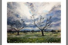 Paisaje-232
