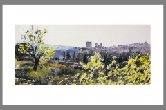Paisaje-251