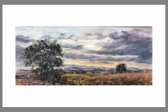 Paisaje-253