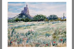 Paisaje-261
