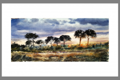 Paisaje-267