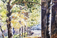 Paisaje-272