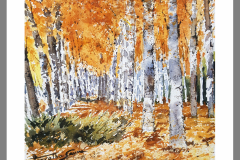 Paisaje-273