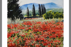 Paisaje-276
