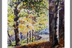 Paisaje-277