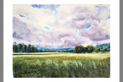 Paisaje-288