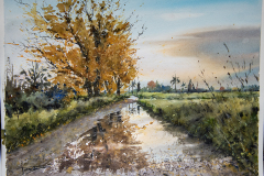 Paisaje-29