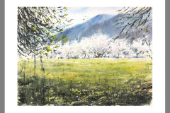 Paisaje-292