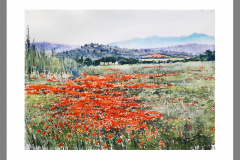 Paisaje-296