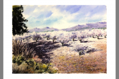 Paisaje-298