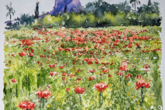 Paisaje-3
