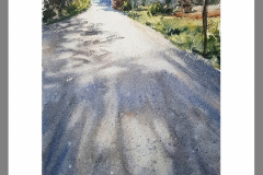 Paisaje-302
