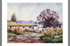 Paisaje-304