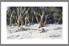 Paisaje-306