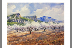 Paisaje-309