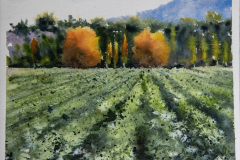 Paisaje-31
