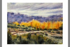 Paisaje-312