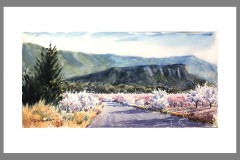 Paisaje-313