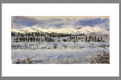 Paisaje-317