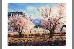 Paisaje-321