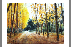 Paisaje-324