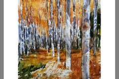 Paisaje-325