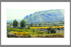 Paisaje-327