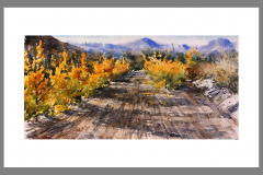 Paisaje-328
