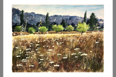 Paisaje-330
