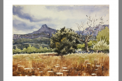 Paisaje-332