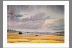 Paisaje-333