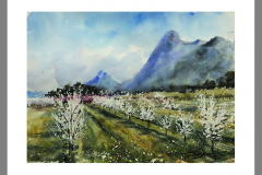 Paisaje-337