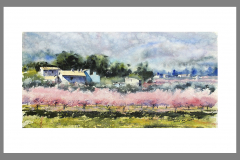 Paisaje-339