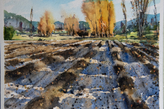 Paisaje-34