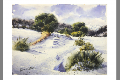 Paisaje-341