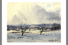 Paisaje-343