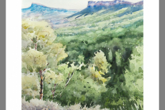 Paisaje-348